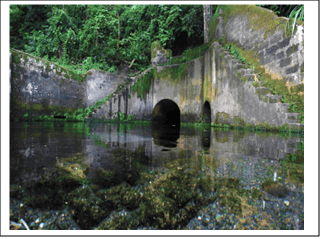 Text Box 2, Textbox.png